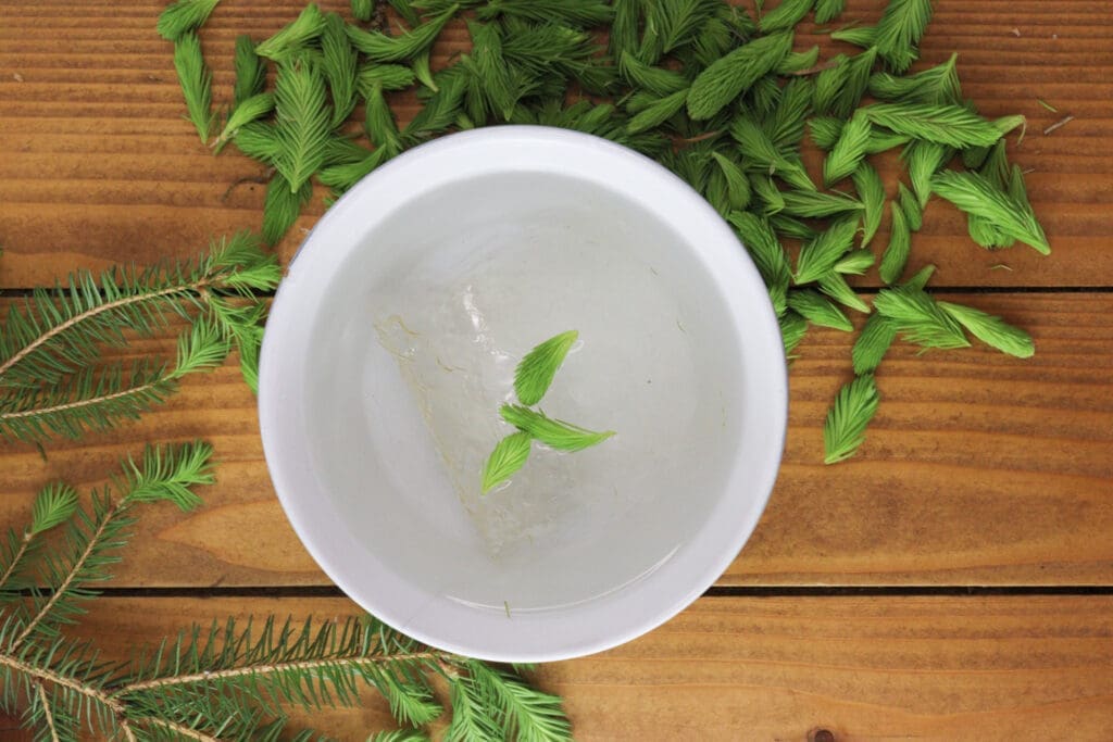 Image of soaking the gelatine leaves in cold water.